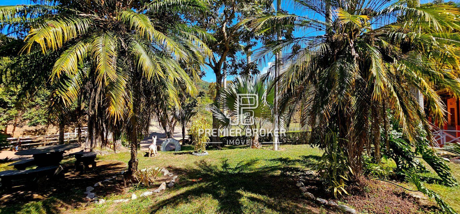 Sítio à venda com 4 quartos, 500m² - Foto 51
