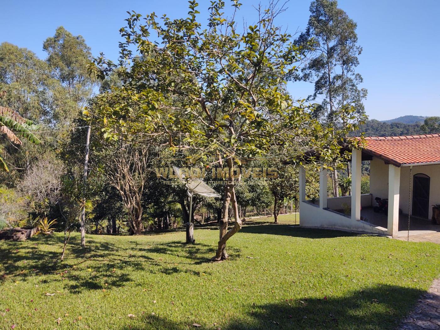 Fazenda à venda, 36000m² - Foto 3