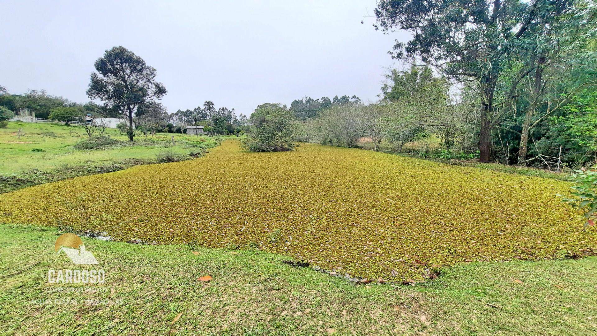 Sítio à venda, 20000M2 - Foto 3