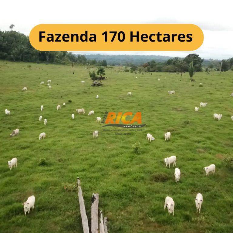 Fazenda-Sítio-Chácara, 170 hectares - Foto 1