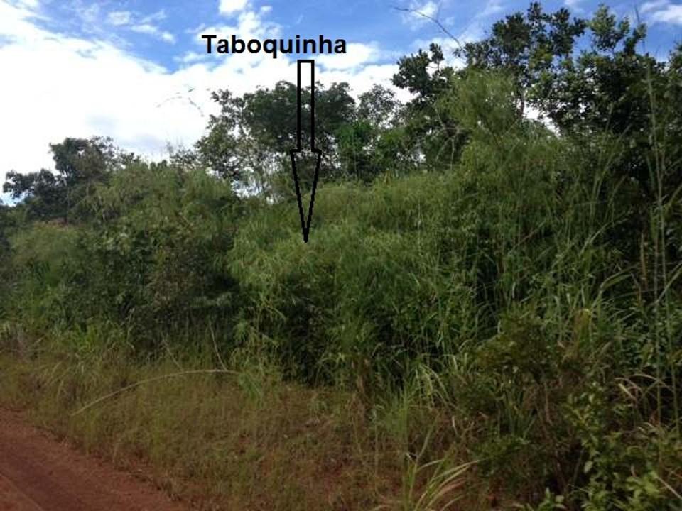 Fazenda à venda, 430000M2 - Foto 19