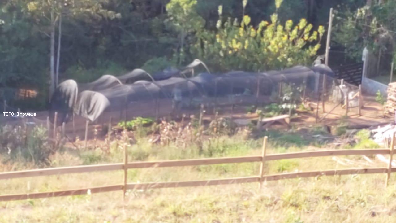 Fazenda à venda com 2 quartos, 10m² - Foto 57