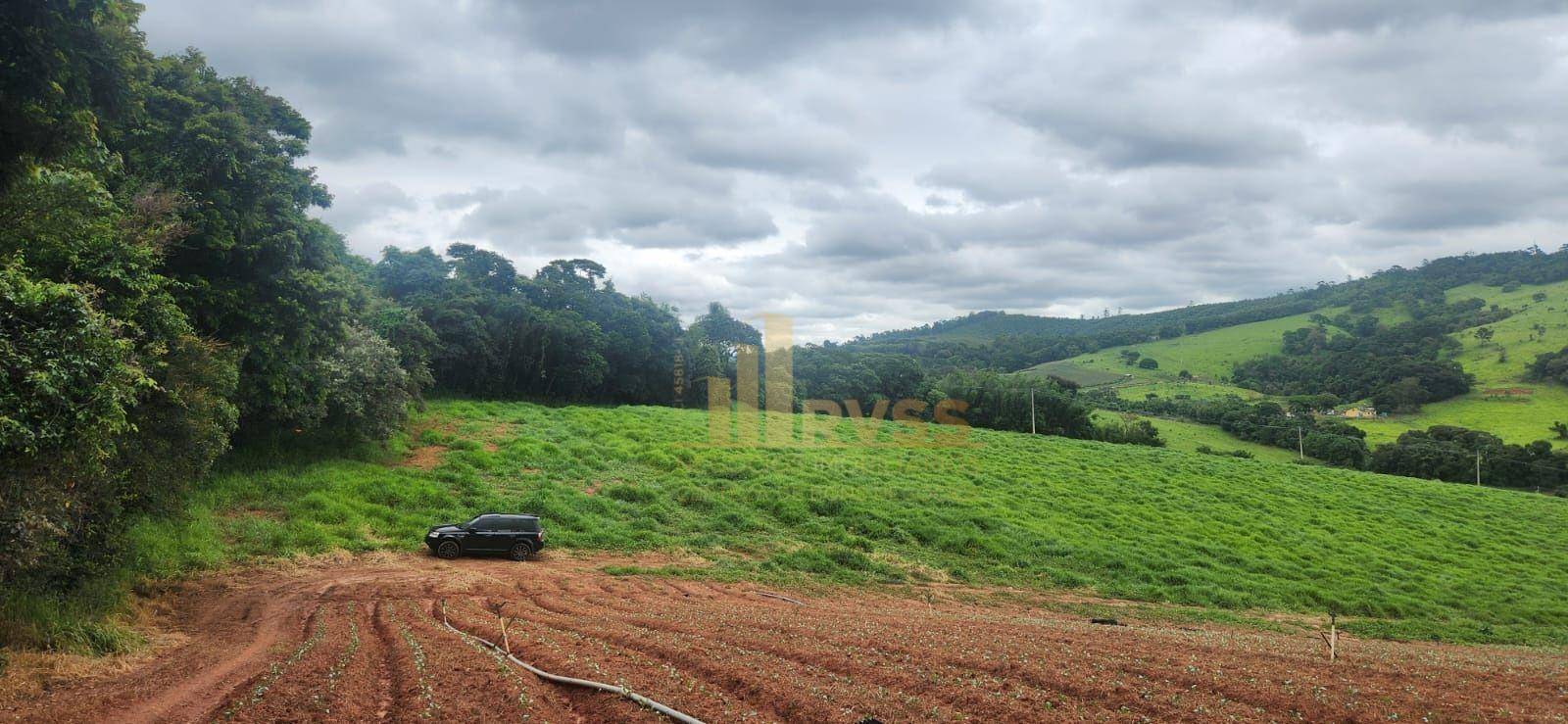 Terreno, 19 hectares - Foto 4