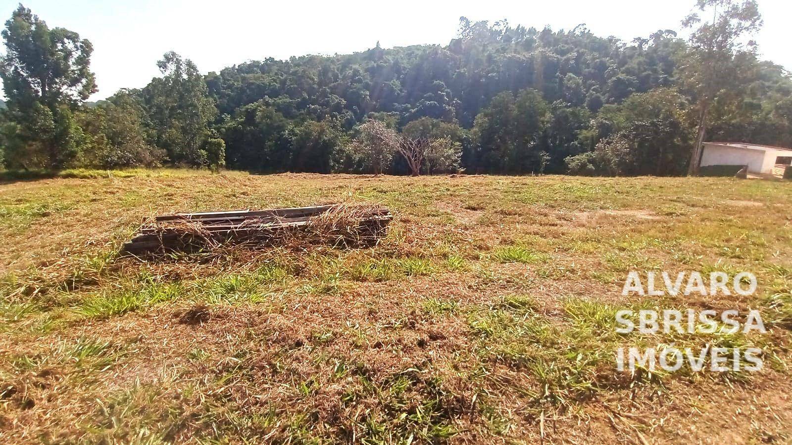 Loteamento e Condomínio à venda, 2132M2 - Foto 6