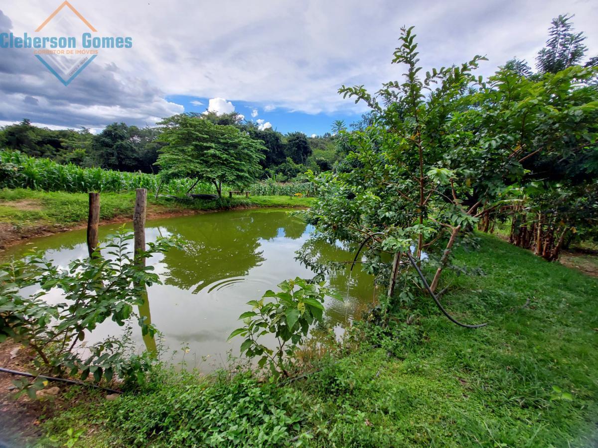 Fazenda à venda com 3 quartos, 1m² - Foto 7