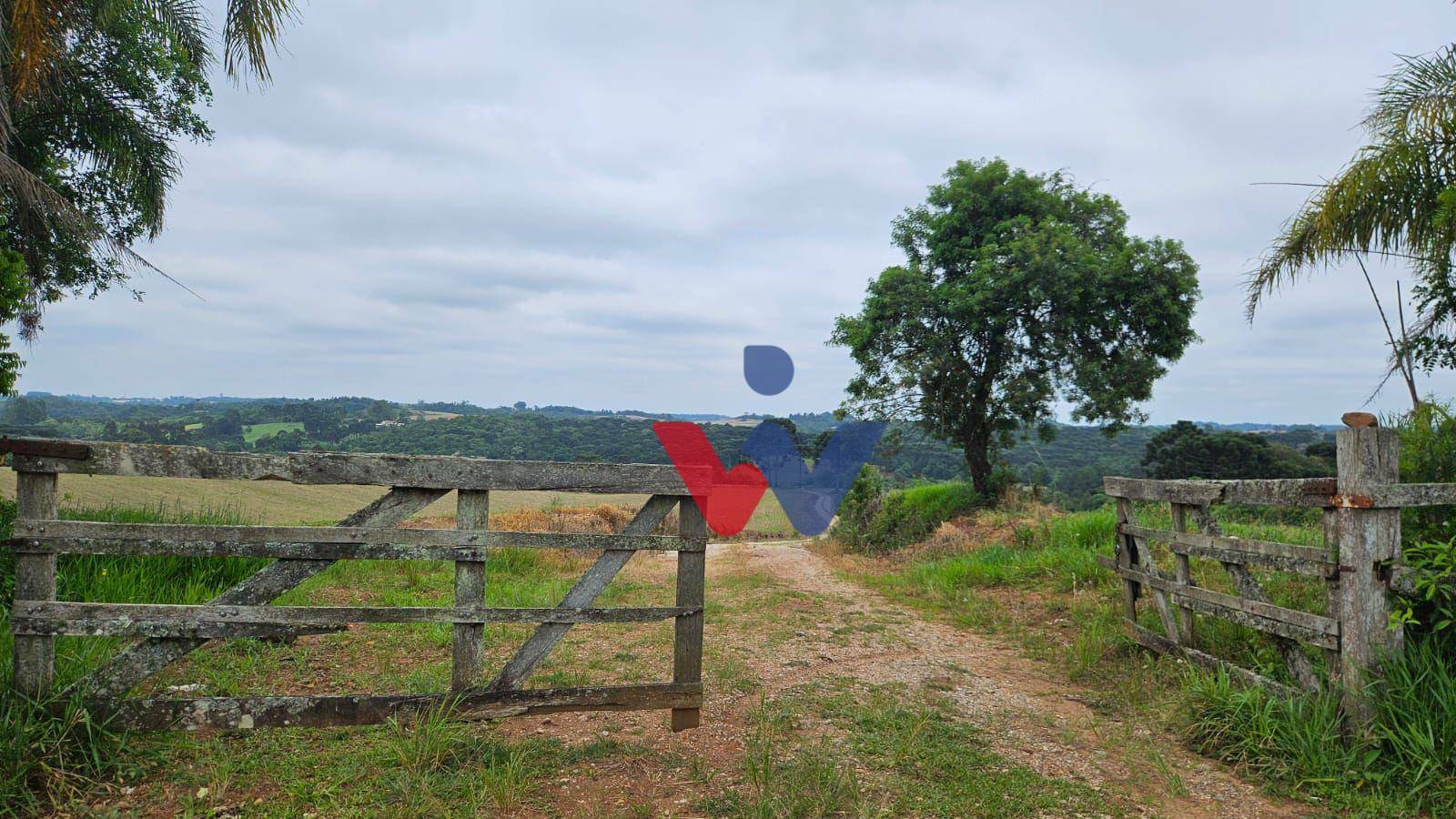 Fazenda à venda com 3 quartos, 1694000M2 - Foto 1