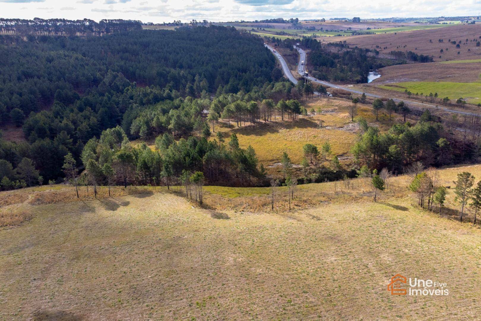 Terreno, 73 hectares - Foto 5