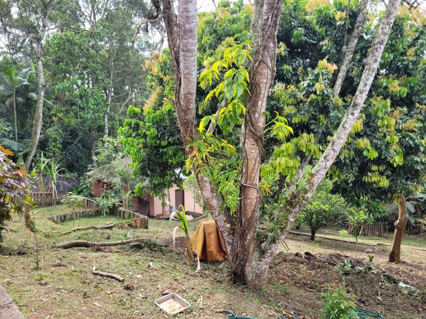 Fazenda à venda com 3 quartos, 3300m² - Foto 27