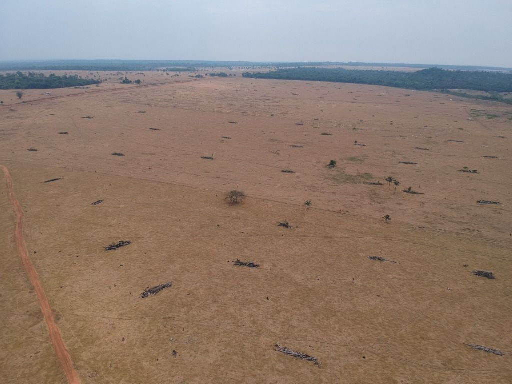 Fazenda à venda, 41140000M2 - Foto 19