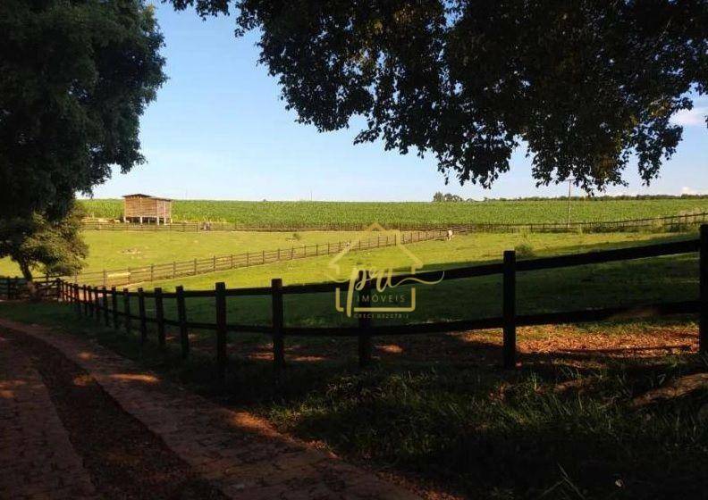 Fazenda à venda com 3 quartos, 1000m² - Foto 21