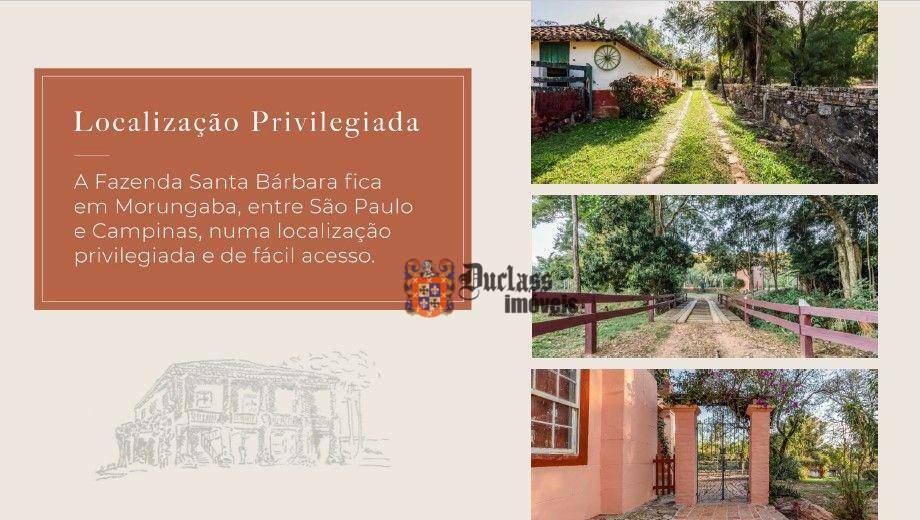 Fazenda à venda com 6 quartos, 500m² - Foto 43