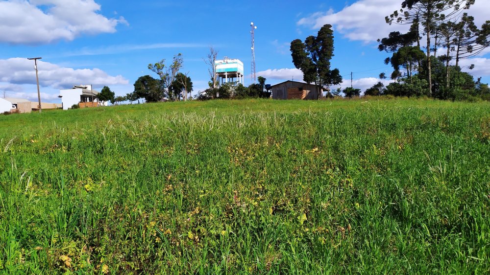 Fazenda à venda com 1 quarto, 24000m² - Foto 11