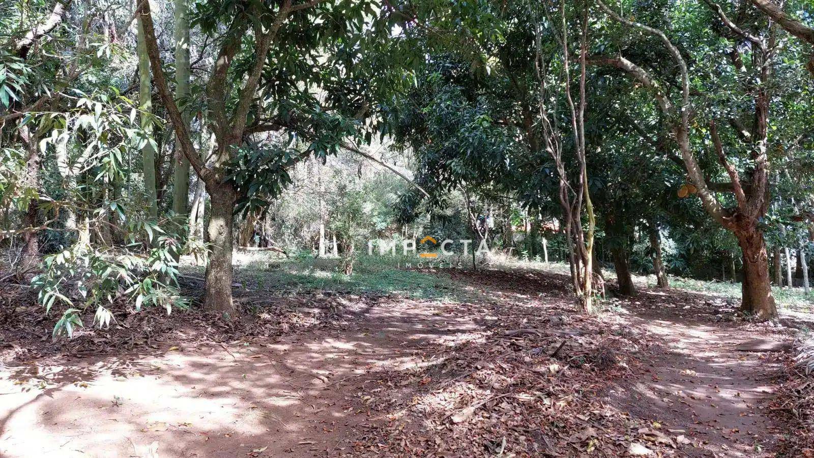 Chácara à venda com 3 quartos, 200m² - Foto 12