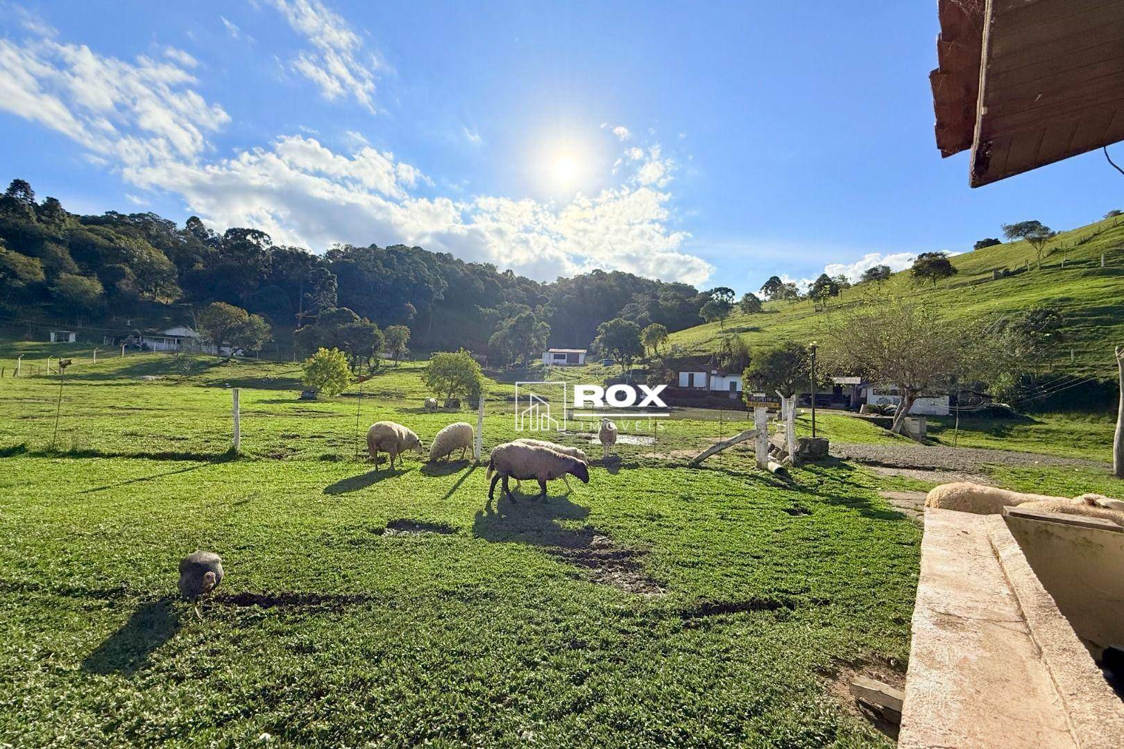 Chácara à venda com 6 quartos, 350m² - Foto 30