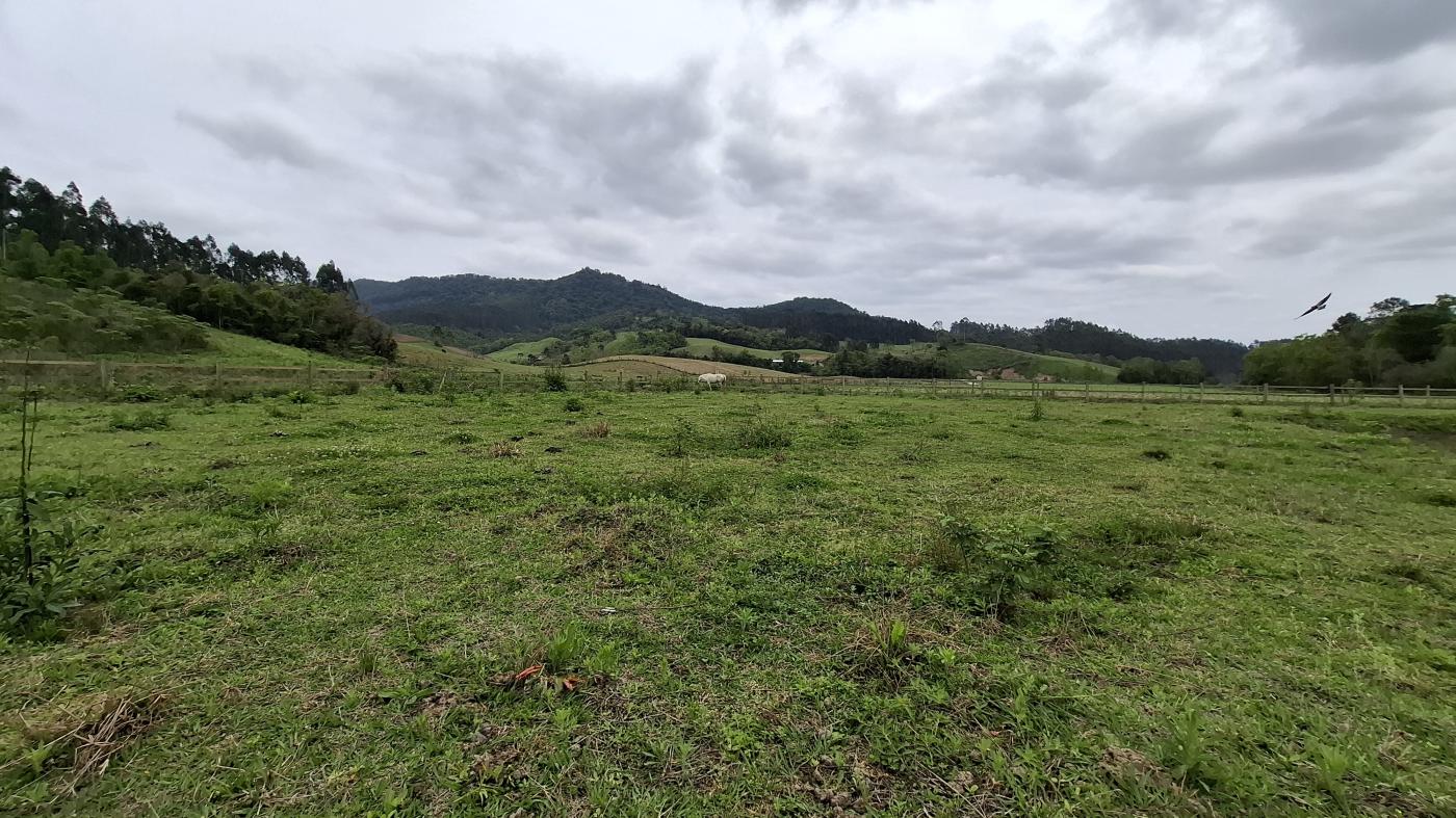 Fazenda à venda com 1 quarto, 10000m² - Foto 21