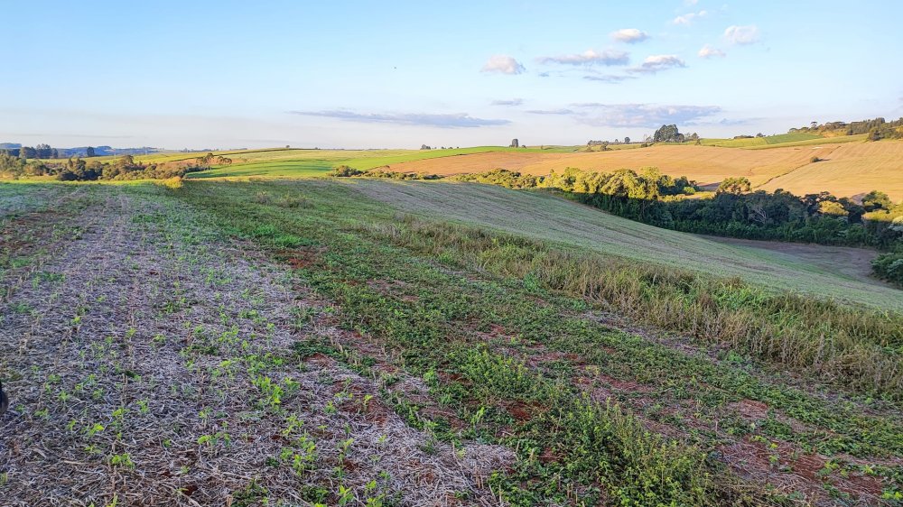 Fazenda à venda, 13m² - Foto 4