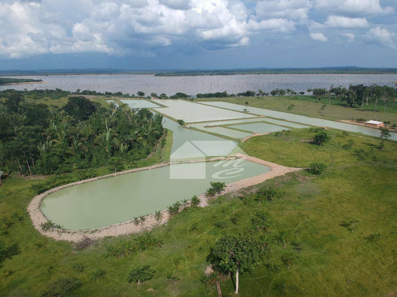 Chácara, 3 quartos, 29 hectares - Foto 4