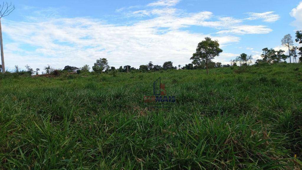 Fazenda à venda com 4 quartos, 6001600M2 - Foto 9