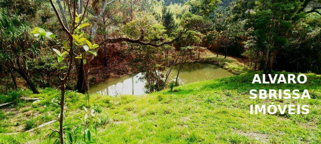 Sítio, 1 quarto, 14 hectares - Foto 25