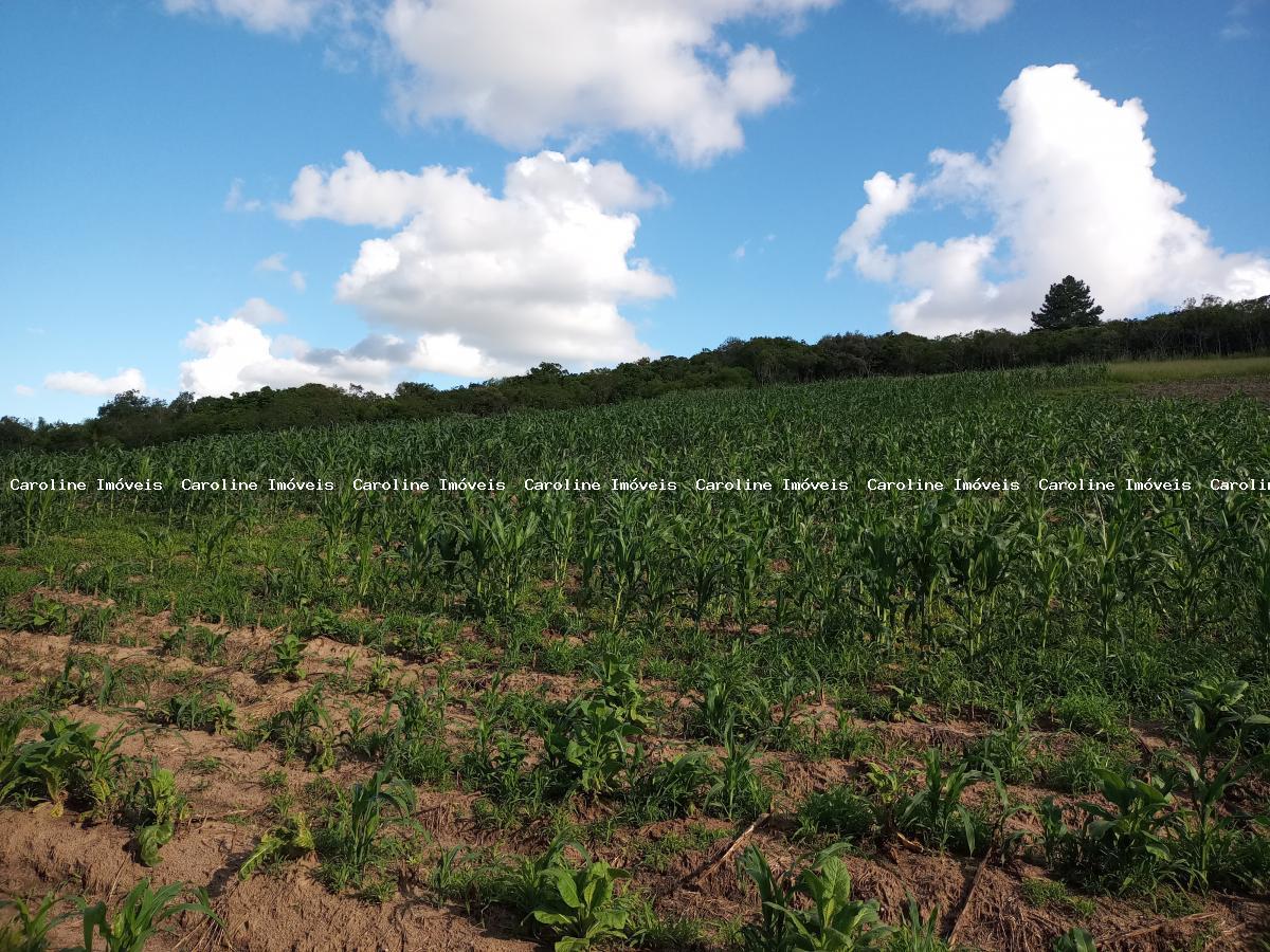 Sítio à venda, 250000m² - Foto 31