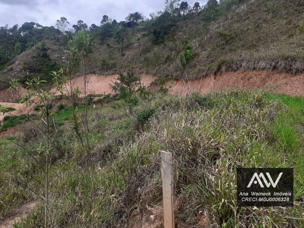 Terreno à venda, 1500M2 - Foto 2