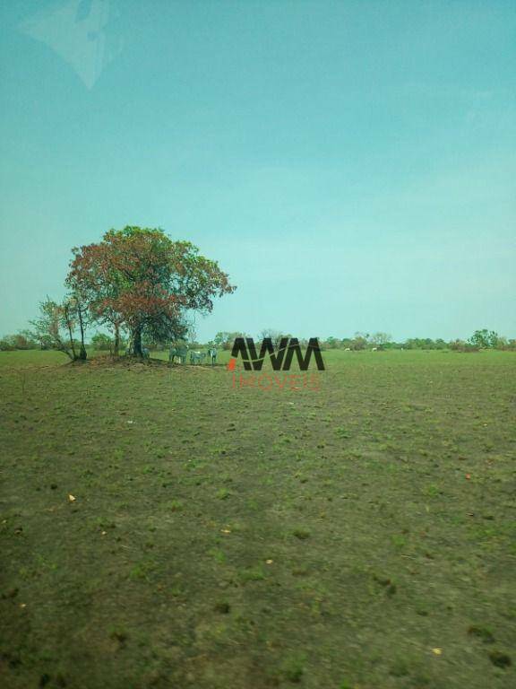 Fazenda, 7200 hectares - Foto 1