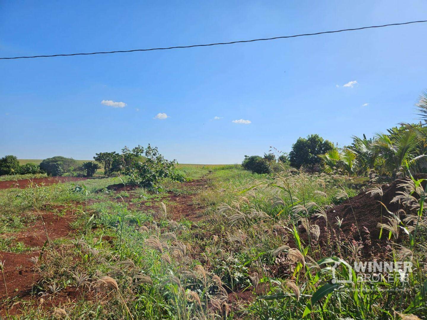 Chácara à venda com 1 quarto, 2500M2 - Foto 5