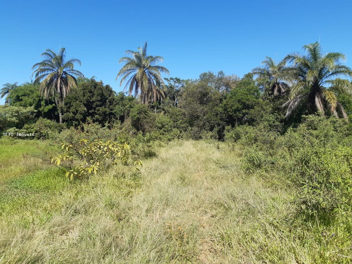 Terreno à venda, 5000m² - Foto 3