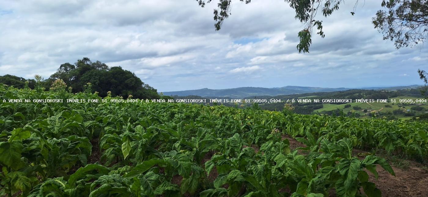 Loteamento e Condomínio à venda, 125000m² - Foto 11