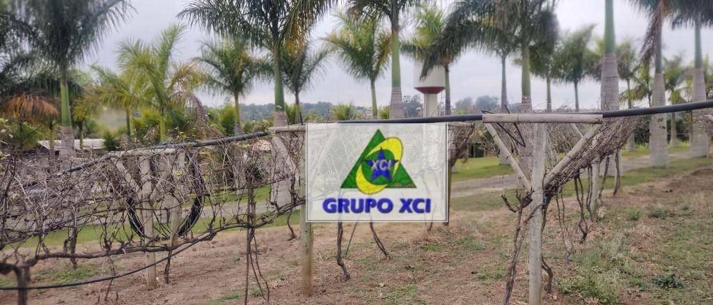 Sítio, 2 quartos, 4 hectares - Foto 31