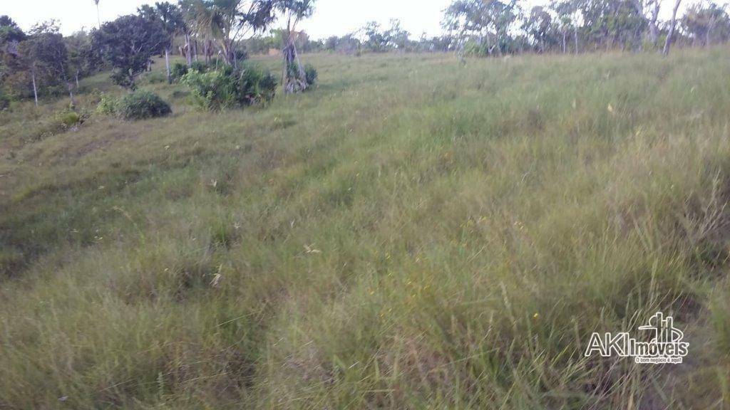 Fazenda à venda com 2 quartos, 4500000M2 - Foto 22