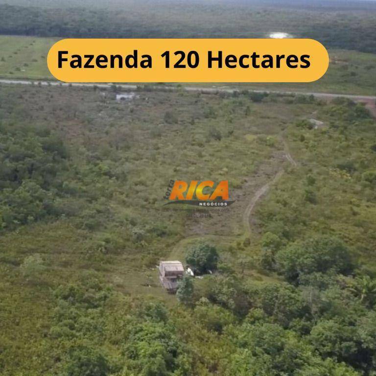 Fazenda-Sítio-Chácara, 120 hectares - Foto 1