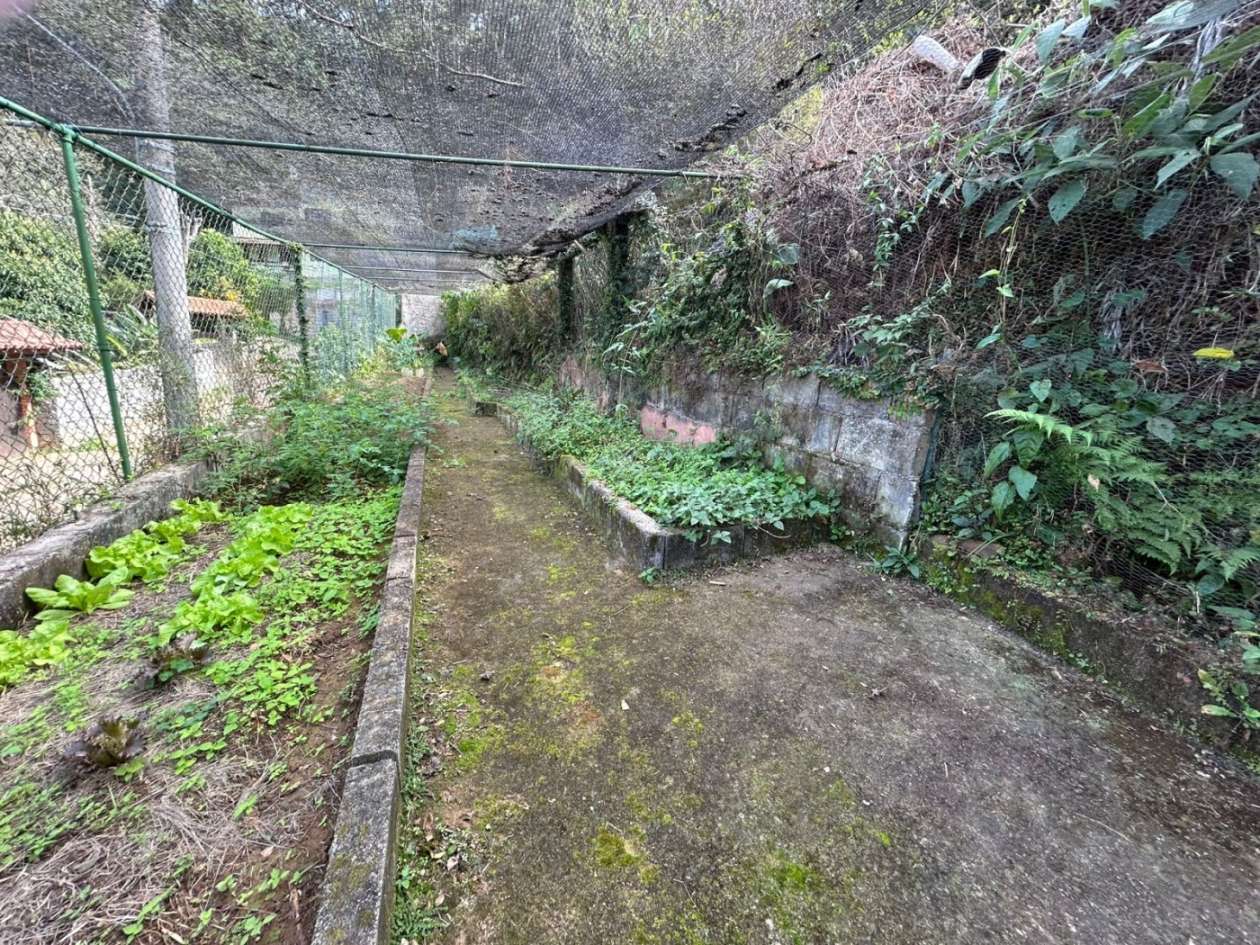 Casa à venda com 5 quartos, 350m² - Foto 8