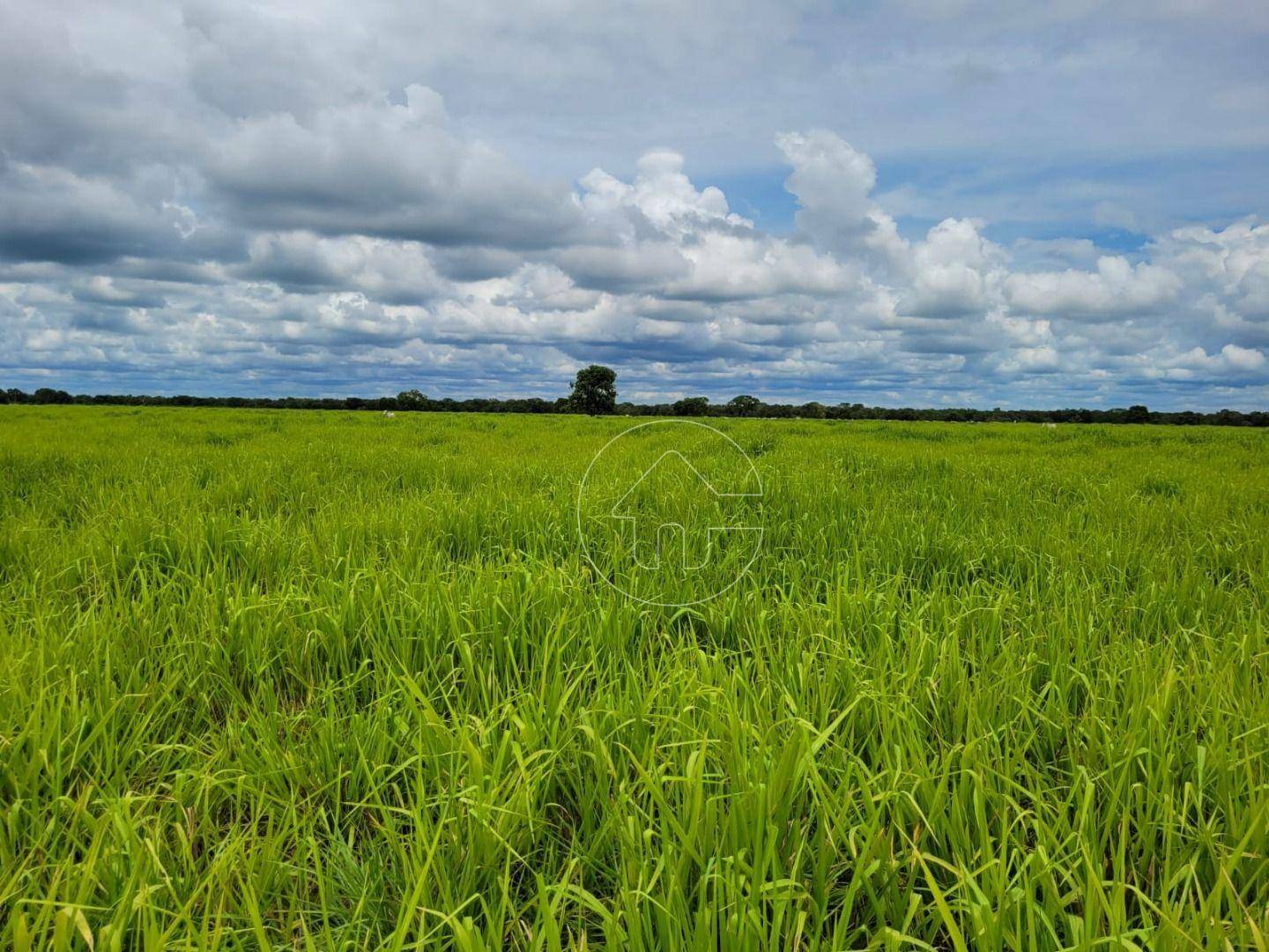 Fazenda à venda, 61350000M2 - Foto 24