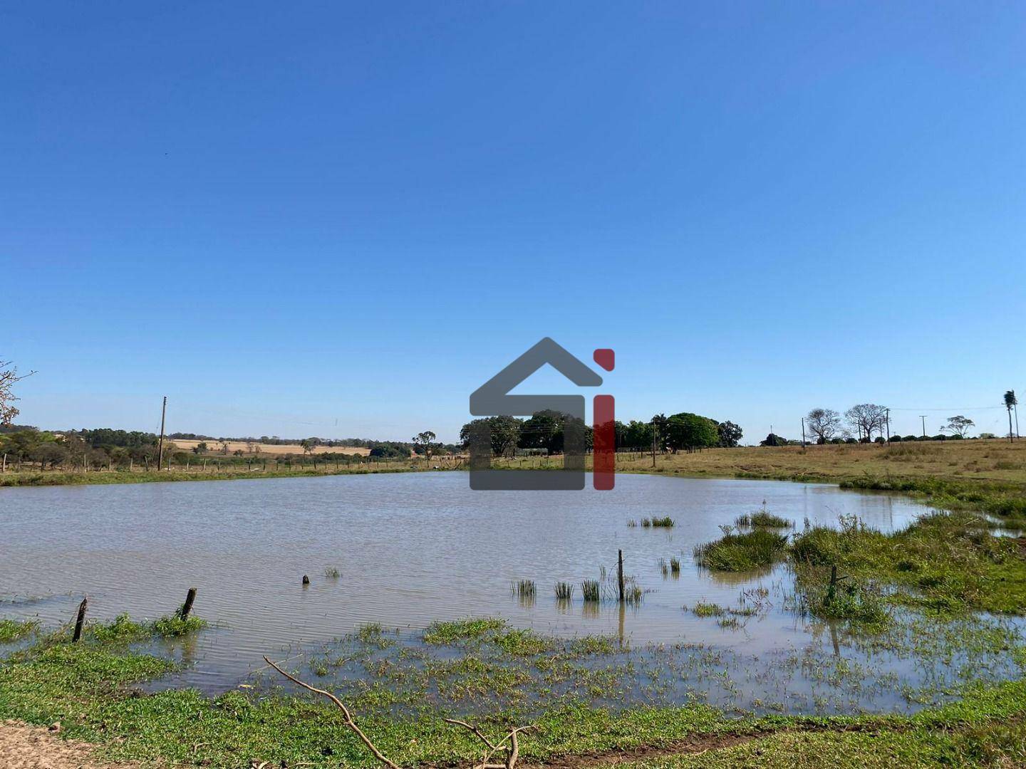 Sítio à venda com 3 quartos, 283140M2 - Foto 11