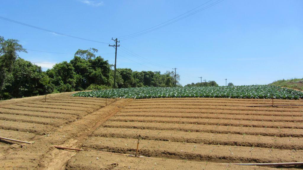 Terreno à venda, 822000M2 - Foto 2