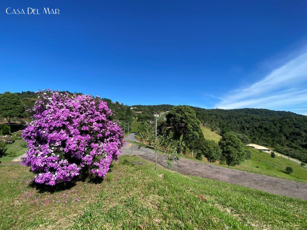 Terreno à venda, 1636m² - Foto 1
