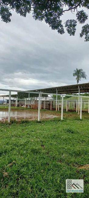 Fazenda-Sítio-Chácara, 305 hectares - Foto 3