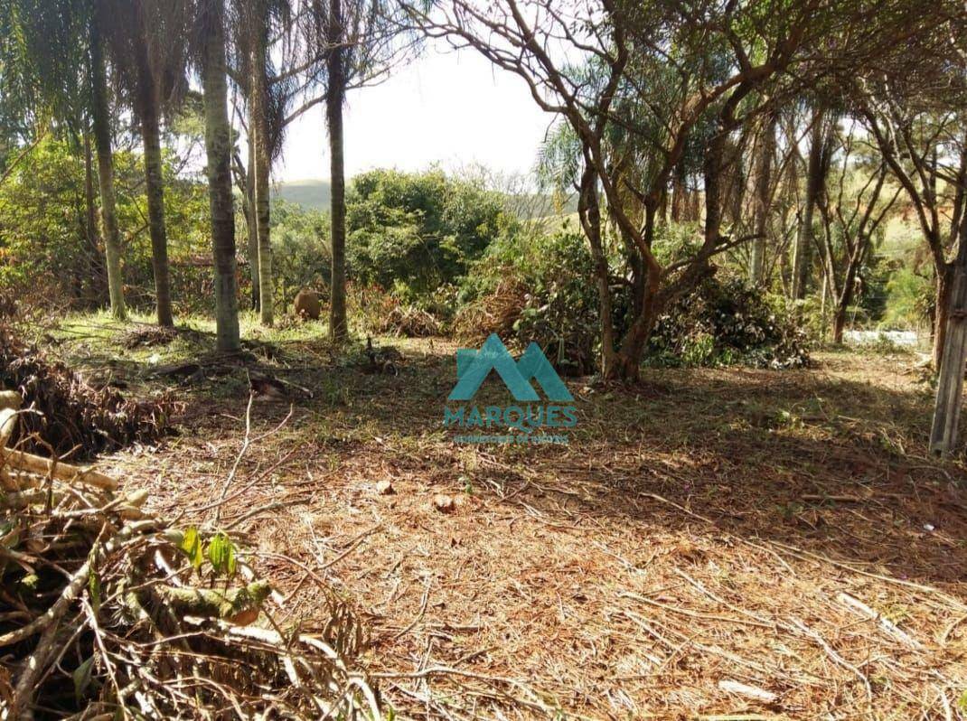 Terreno à venda, 7200M2 - Foto 7