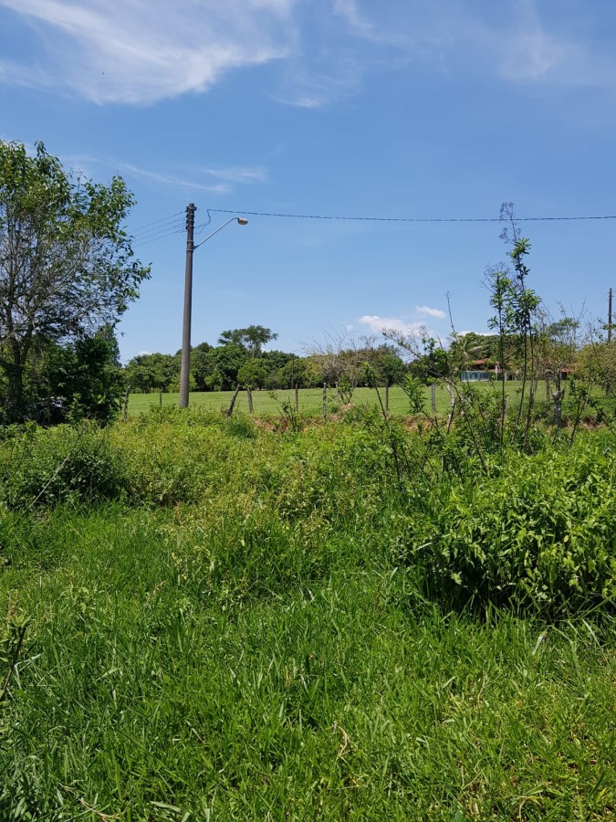 Chácara à venda, 5000m² - Foto 4