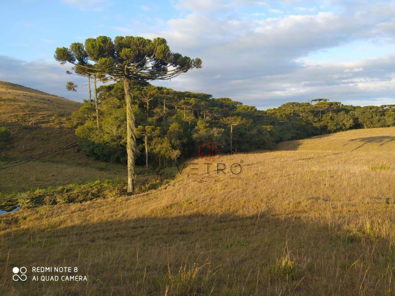 Sítio à venda, 180000M2 - Foto 1