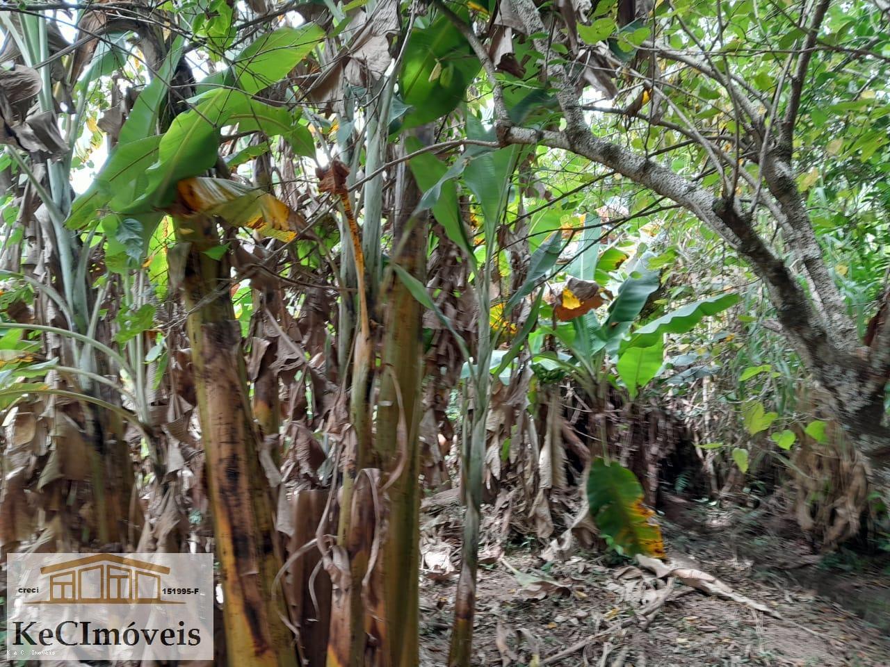 Fazenda à venda com 3 quartos, 1000m² - Foto 17