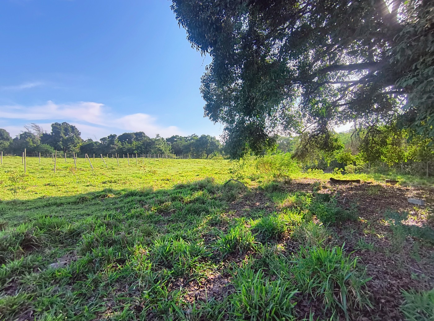 Terreno à venda, 2350m² - Foto 3