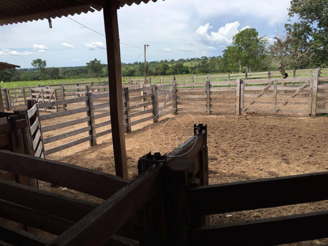 Fazenda à venda, 9970000M2 - Foto 19