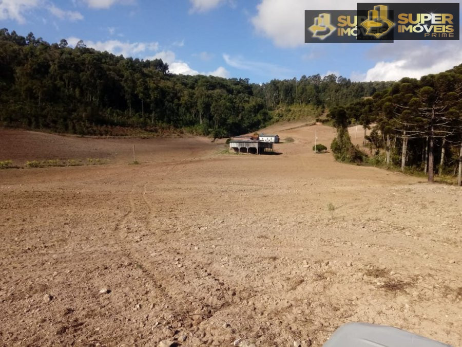 Fazenda à venda com 2 quartos, 450000m² - Foto 12