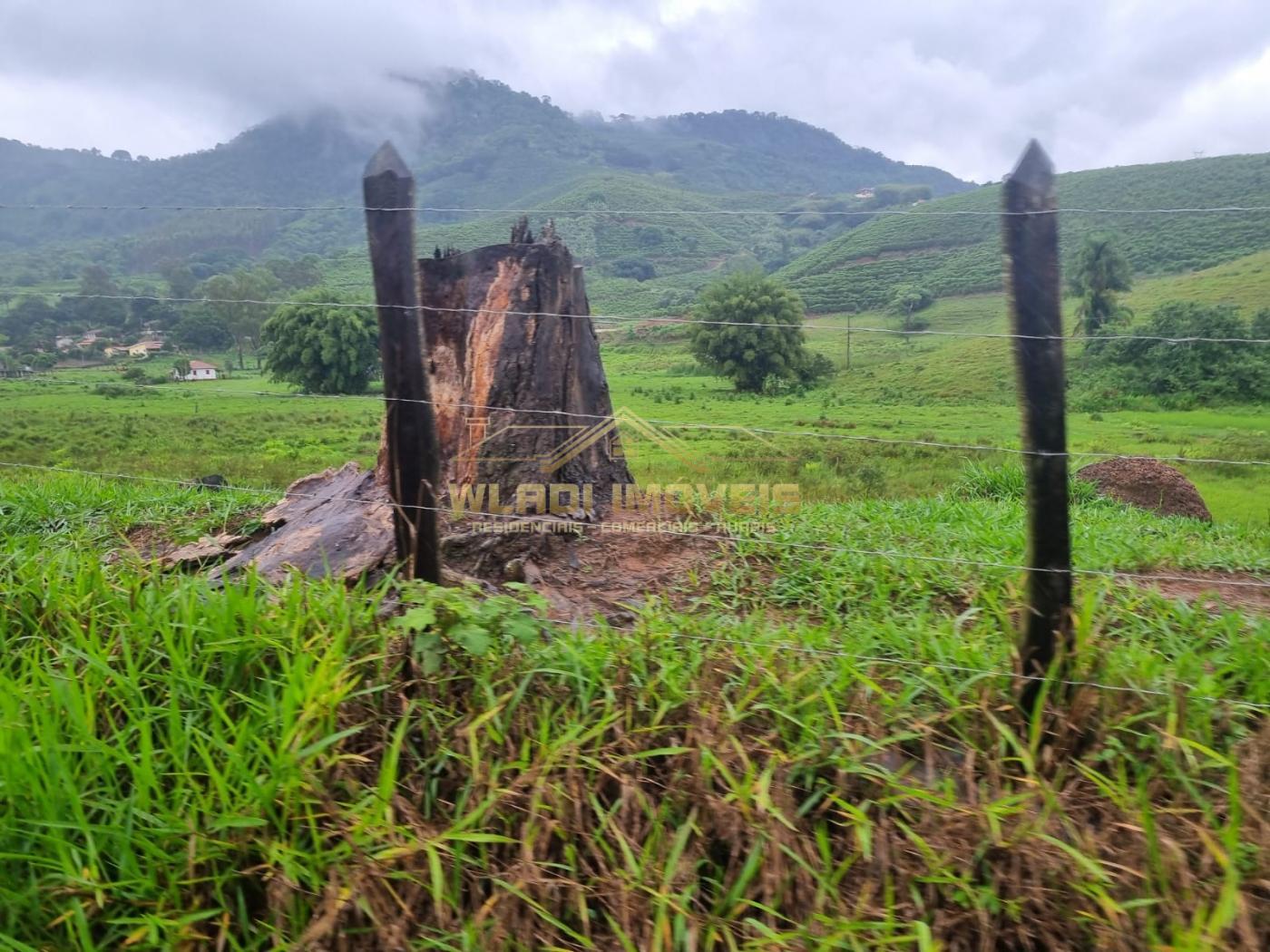 Fazenda à venda, 100m² - Foto 23