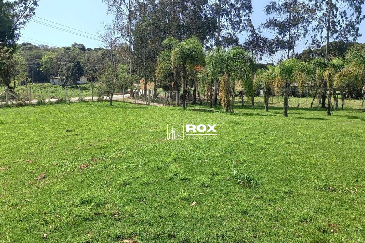 Chácara, 4 quartos, 2 hectares - Foto 12