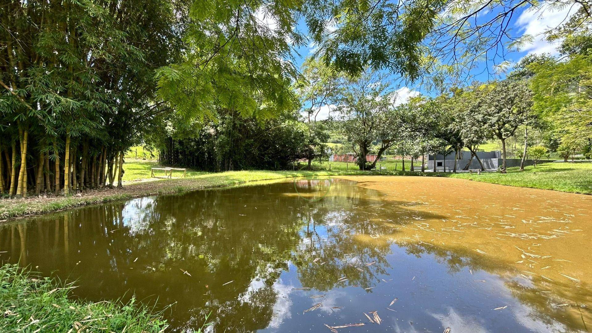 Chácara, 2 hectares - Foto 12