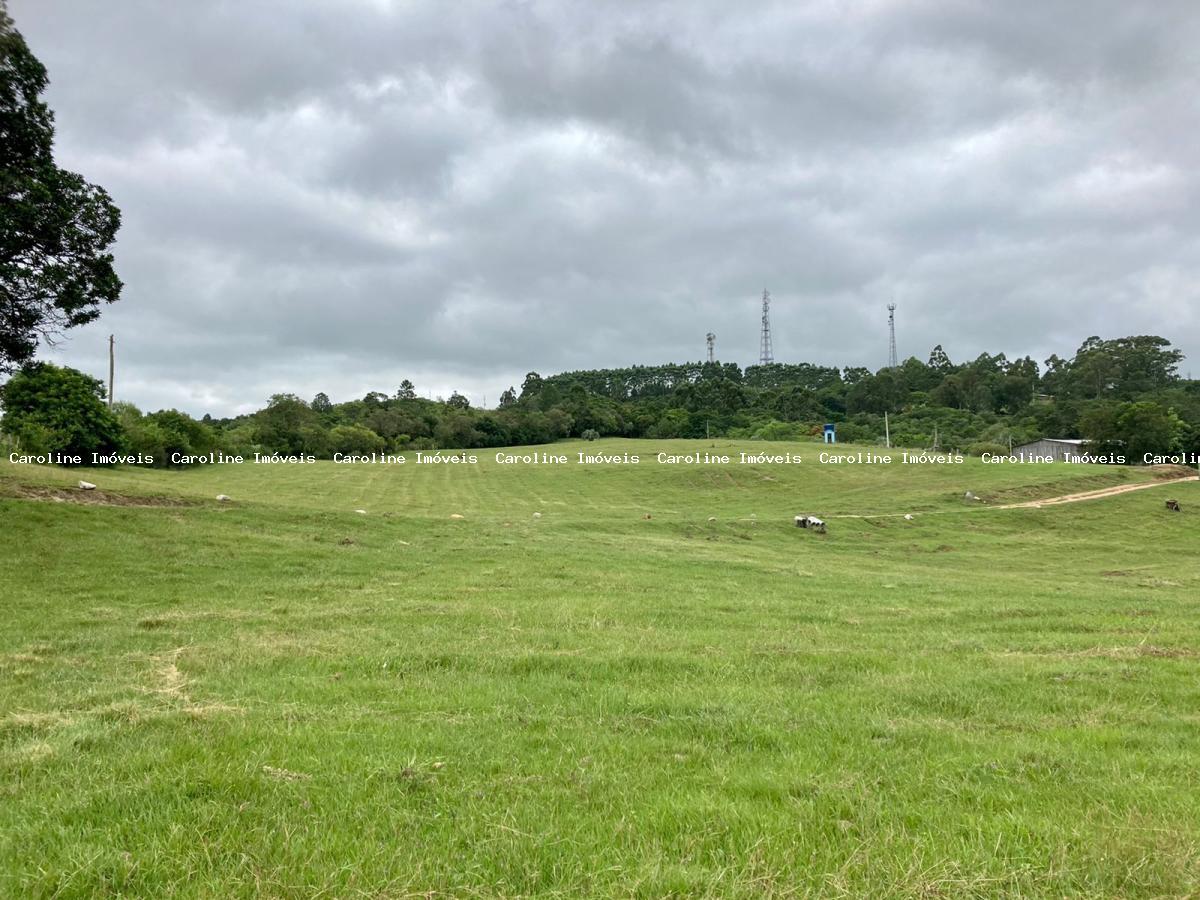 Fazenda à venda com 2 quartos, 220000m² - Foto 6