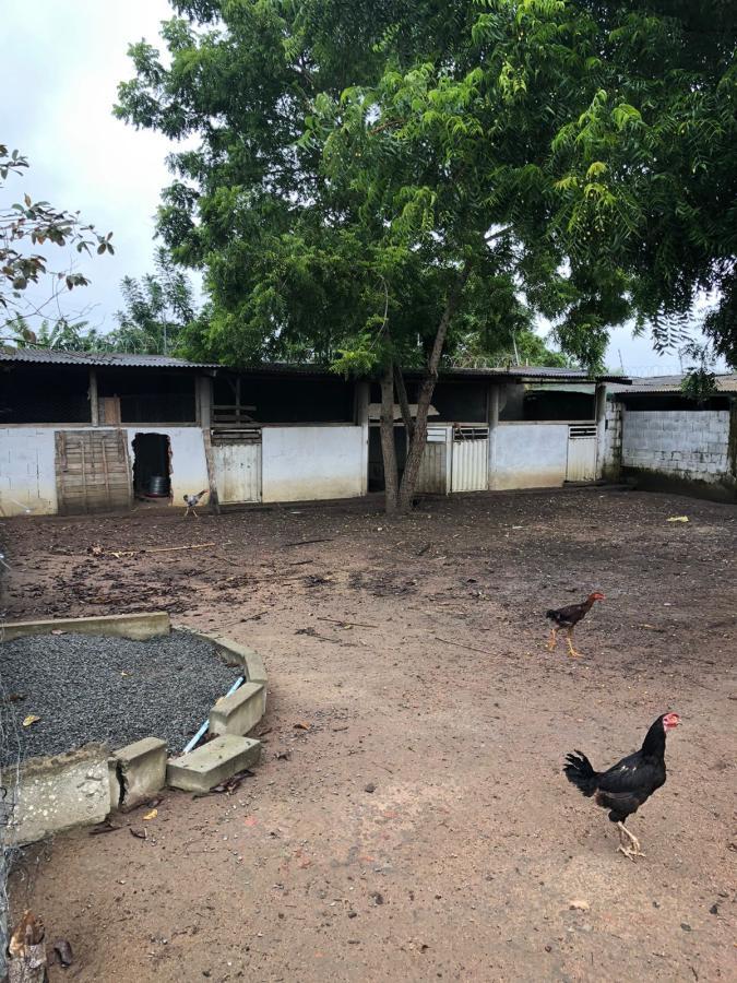 Fazenda à venda com 3 quartos - Foto 35